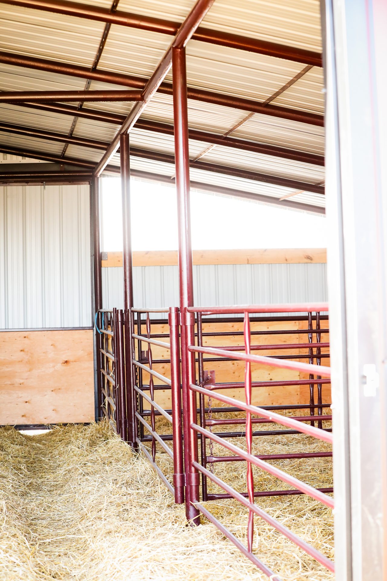 Cattle Barns - Klassen Industries